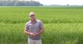 Producers Rice Mill June 2020 Report with Jay Coker