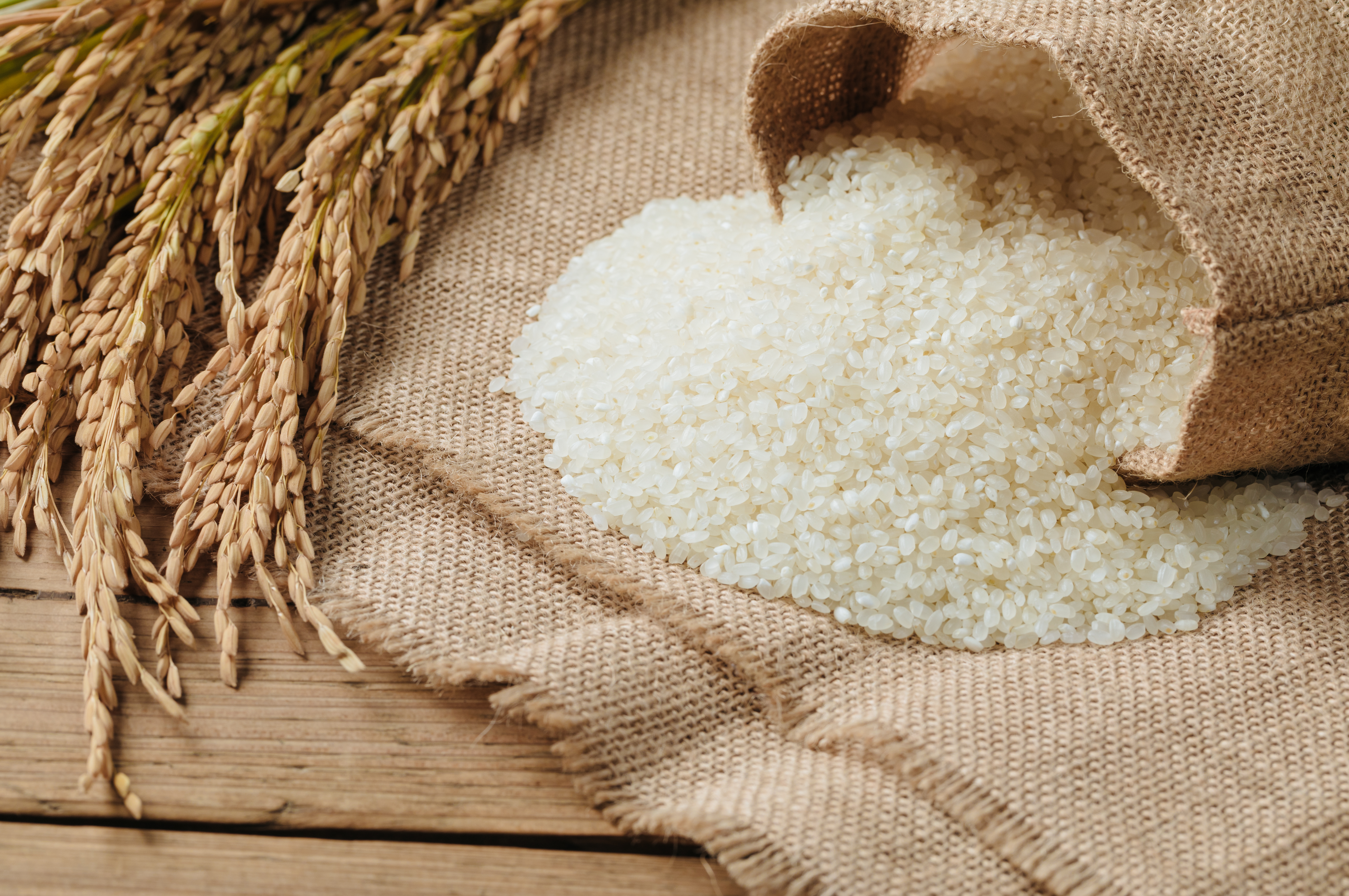 Medium Grain Milled Rice