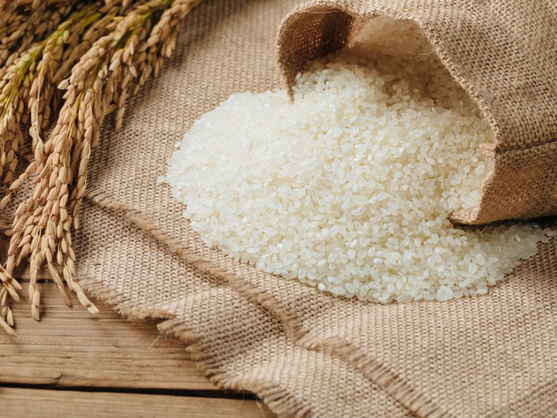Medium Grain Milled Rice